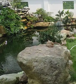 私家庭院别墅景观设计建造的锦鲤鱼池风水