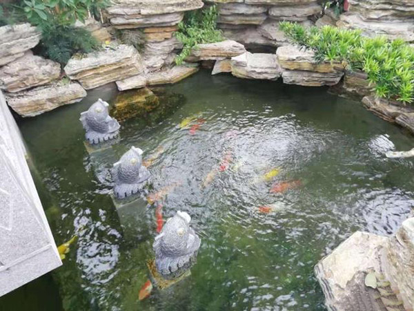别墅花园设计里添加个鱼池设计怎么样？